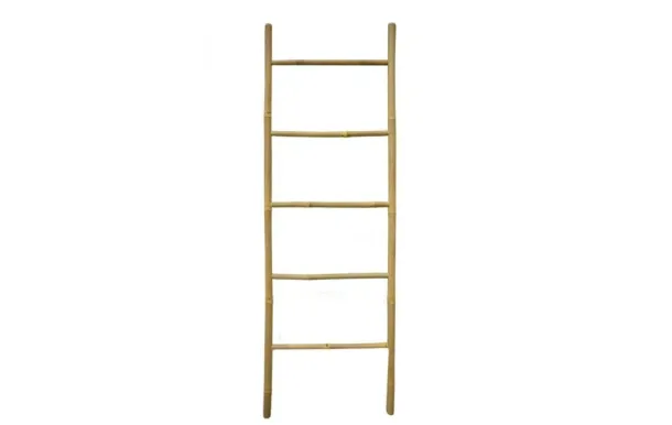 AUBRY GASPARD ECHELL DVI1540